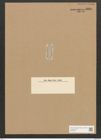 Amphora lineata Greg. (de-Toni-Nr.: Genus 36, Species 1557) Zeichnungen Sammlung Grunow Nr. 3001 (NHMW-BOT-W0370377)